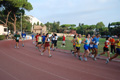stafpat_3583