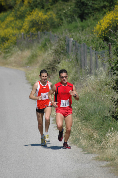 Maratonina di Villa Adriana (23/05/2010) dominici_va_2178