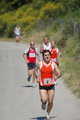 dominici_va_2198
