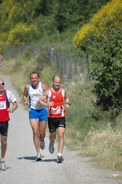Maratonina di Villa Adriana (23/05/2010) dominici_va_2199