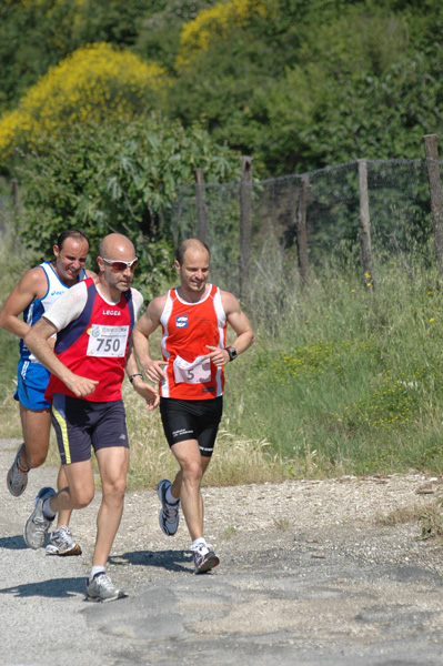 Maratonina di Villa Adriana (23/05/2010) dominici_va_2201