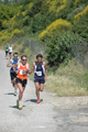dominici_va_2206