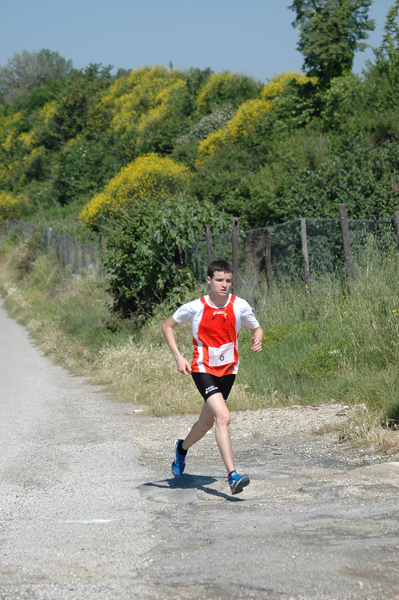 Maratonina di Villa Adriana (23/05/2010) dominici_va_2220