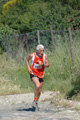 dominici_va_2254