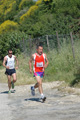 dominici_va_2270
