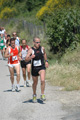 dominici_va_2274
