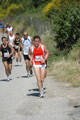 dominici_va_2275