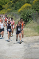 dominici_va_2348
