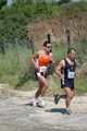 dominici_va_2349