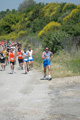 dominici_va_2353