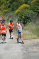 dominici_va_2354