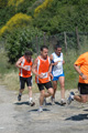 dominici_va_2356