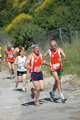 dominici_va_2371