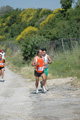 dominici_va_2390