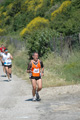 dominici_va_2391