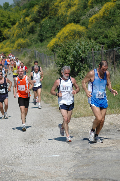 Maratonina di Villa Adriana (23/05/2010) dominici_va_2396