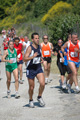 dominici_va_2409