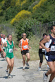 dominici_va_2410