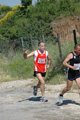 dominici_va_2426