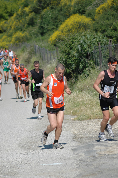 Maratonina di Villa Adriana (23/05/2010) dominici_va_2442