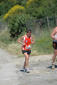 dominici_va_2445