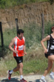 dominici_va_2455