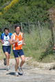 dominici_va_2460