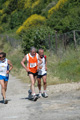 dominici_va_2461
