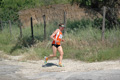 dominici_va_2483