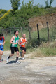 dominici_va_2517