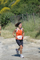 dominici_va_2533