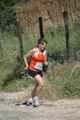 dominici_va_2546