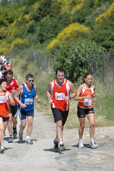 Maratonina di Villa Adriana (23/05/2010) dominici_va_2548