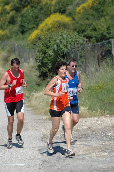 Maratonina di Villa Adriana (23/05/2010) dominici_va_2549