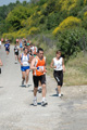 dominici_va_2569