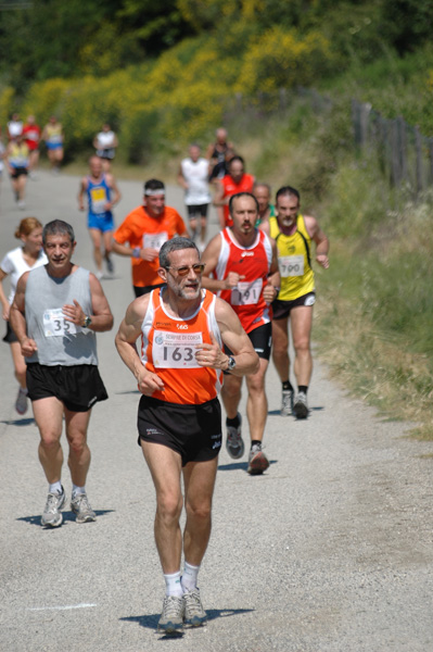 Maratonina di Villa Adriana (23/05/2010) dominici_va_2578