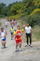 dominici_va_2624