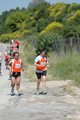 dominici_va_2626