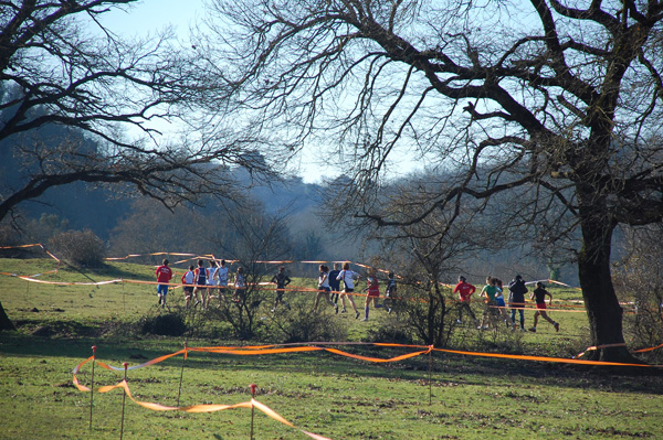 Cross delle Valli del Sorbo (07/02/2010) dsc_0024