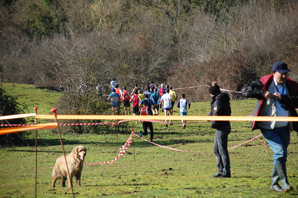 Cross delle Valli del Sorbo (07/02/2010) dsc_0139