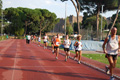 stafpat_0304