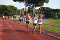 stafpat_0309