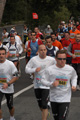 falcucci_0744