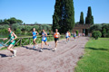 chini_va_0061