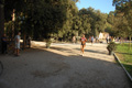 demofonti_0320