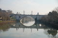 miguel_09_3781