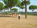 ciani_6687