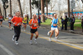 pino_0459