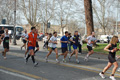pino_0470