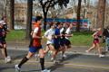 pino_0473